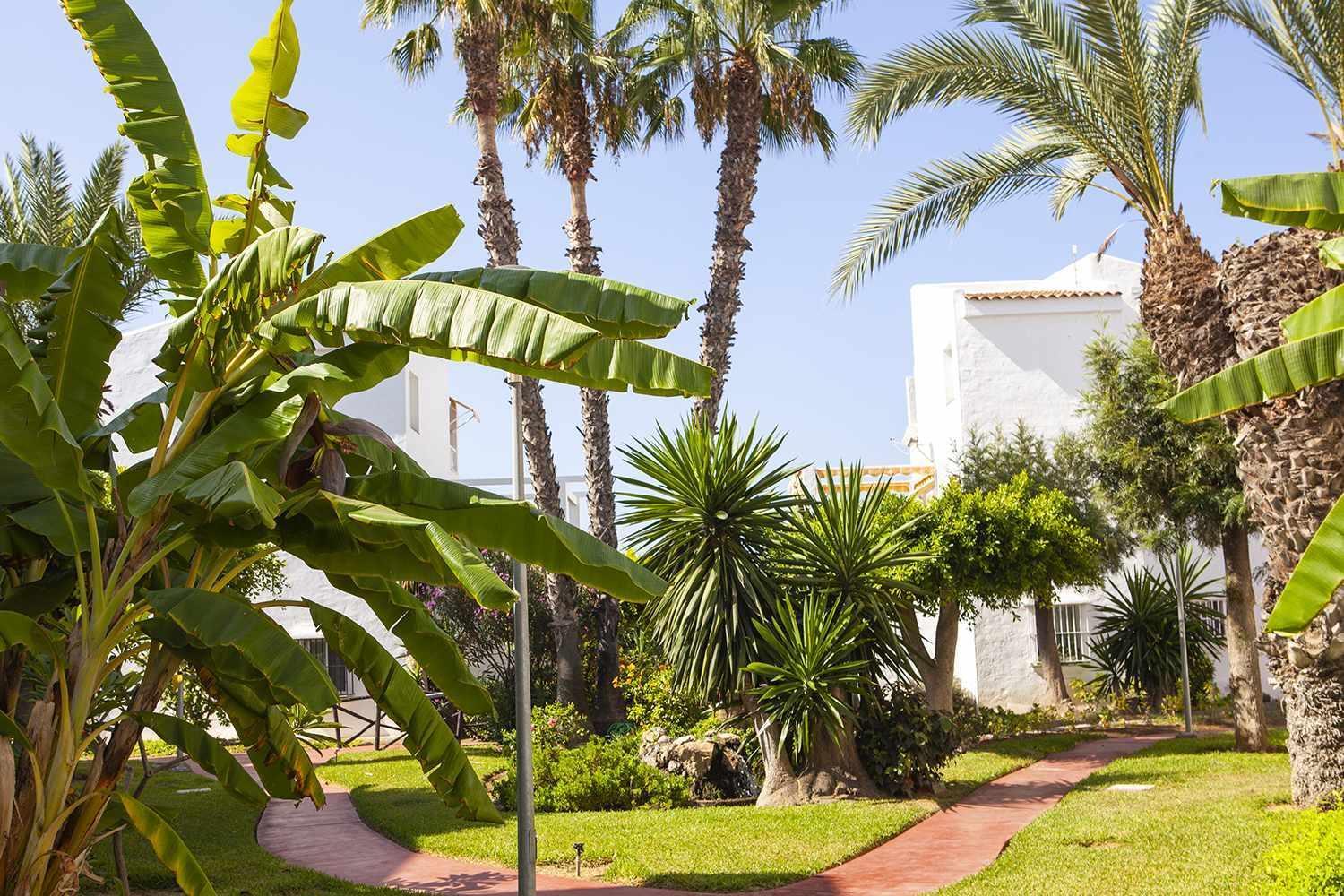 A 100M De Playa Piscina Y Todos Los Servicios Apartamento Torrox Exterior foto